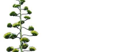 apartments Agava and Mirjana logo